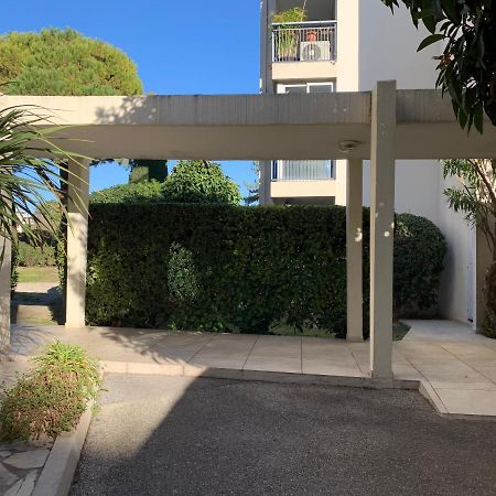 Superbe Studio En Residence Proche De La Mer 滨海卡涅 外观 照片