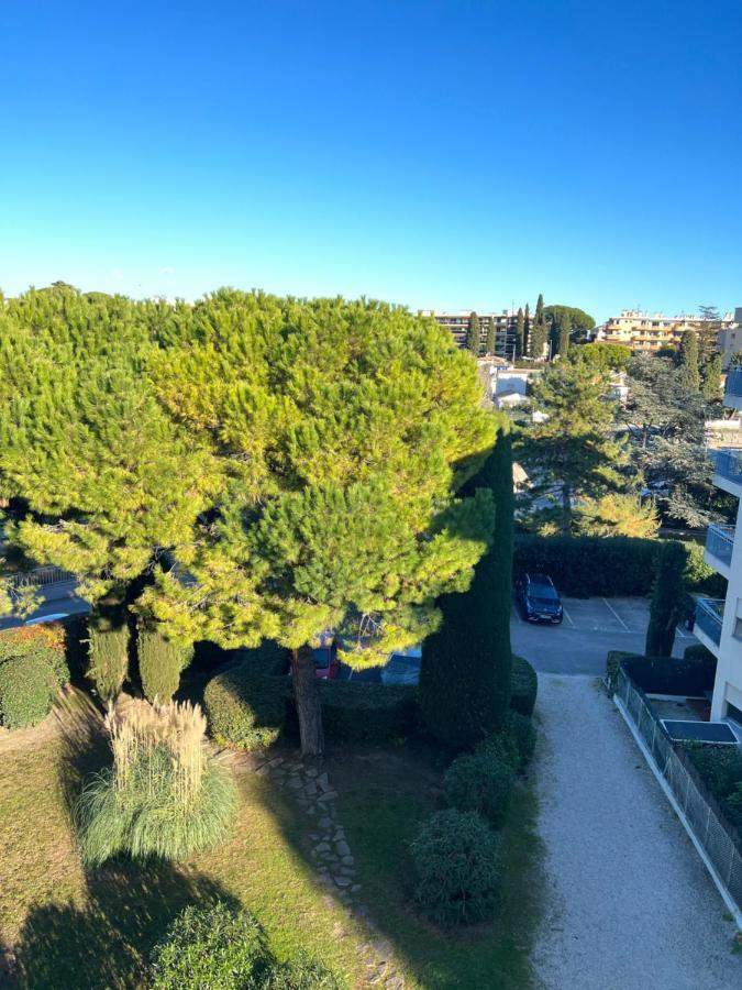 Superbe Studio En Residence Proche De La Mer 滨海卡涅 外观 照片